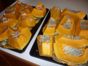 Hubbard Squash